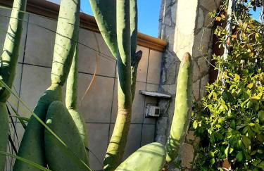 Villa Carrieri - Foto 49