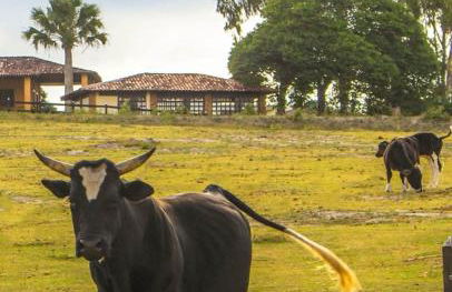 Villa Hípica - Flat com vista para o lago - Foto 42