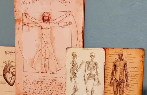 T2-la suite Rabelais - Foto 18