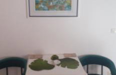 Villa Ana - Foto 77
