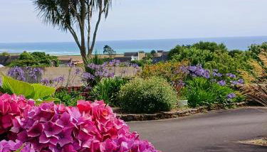 Les hortensias de papy - Foto 3