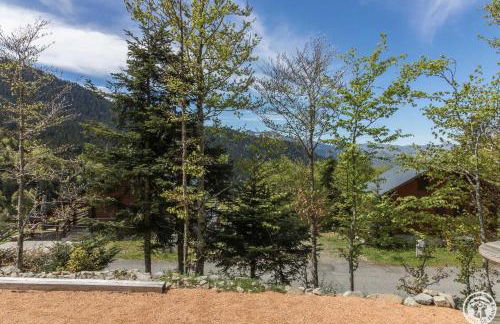 Le grand tetras - Foto 6