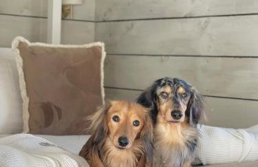 Luxury Boutique retreat, hot tub, dog friendly - Foto 57