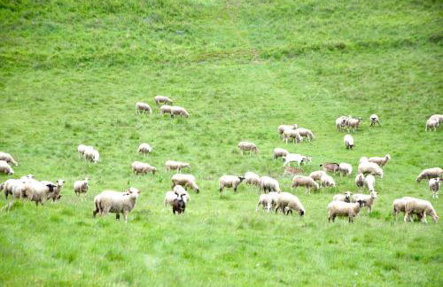 Apartament Nad Potokiem - Foto 38