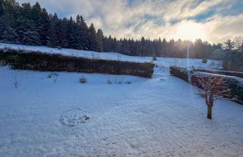 Le Myosotis, Perle du Haut Doubs - Foto 14