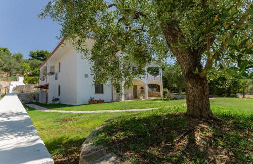 Case Vacanza Fracarluccio - Foto 6