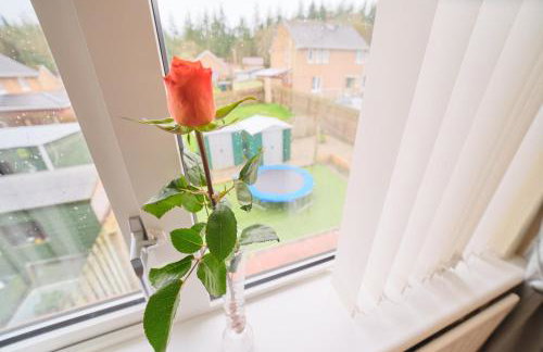 Forest View - Foto 20