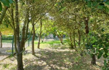 le Gecko en Provence - Foto 36