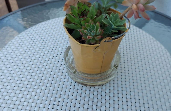 Apartment Luka - Foto 14