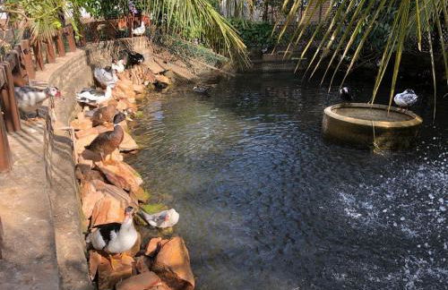 Chacara do Alemao - Foto 45