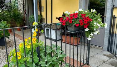 Villa "Corte de' Baldi" - Foto 2