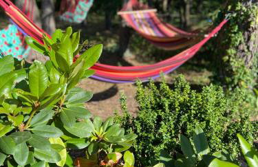 Willa Boho Cudo - Foto 6