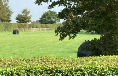 Cottage Sleeps 4 - Pet Friendly w Free Parking - Foto 11