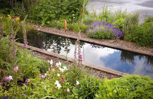 Clonaslee House - Foto 19