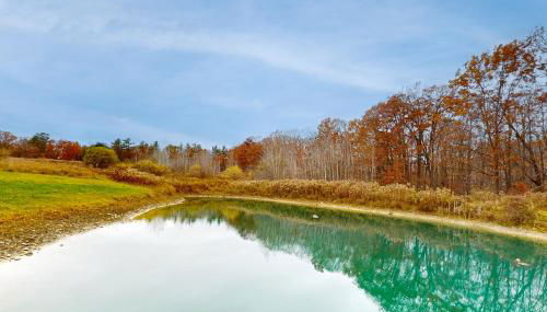 A Finger Lakes Favorite - Photo 5