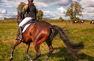 Villa Casa rústica de lujo en la COSTA BRAVA - 4 Bedrooms 8 PAX - Foto 30