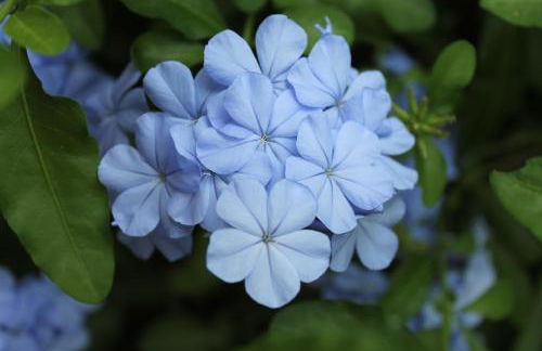 La Rupe del Falco - Foto 32