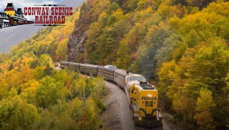 Family Retreat Sauna Hot Tub Games Peloton - Foto 3, Other