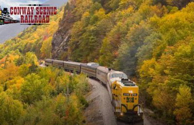Family Retreat Sauna Hot Tub Games Peloton - Photo 3
