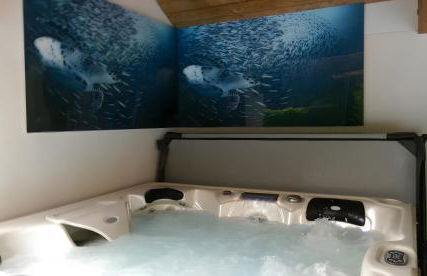 Au Cœur De La Riviera Des Alpes T2 - Foto 16