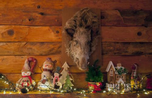 Dandy Villas Agoriani-Chalet Orelia-Fireplace - Foto 15