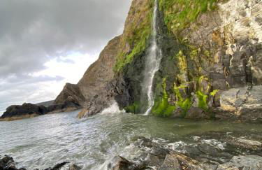 Wild Coastal Retreat at Troed Y Rhiw Aberporth, West Wales - Foto 79
