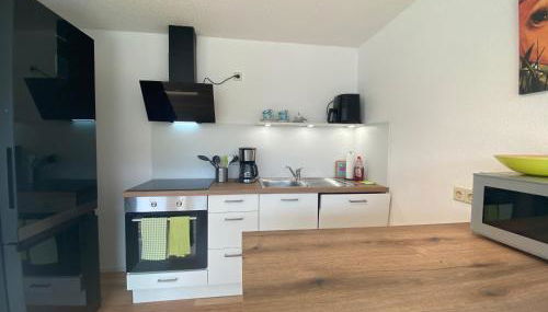 Hochschwarzwald Ferienwohnung - Foto 5, stove, toaster