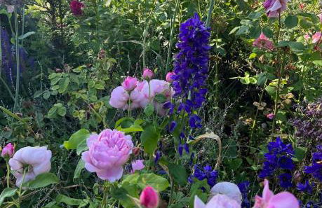 The Annexe at Fishponds - Photo 34