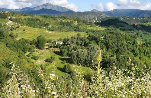 Guest House in Monferrato With Wine Tasting - Foto 46