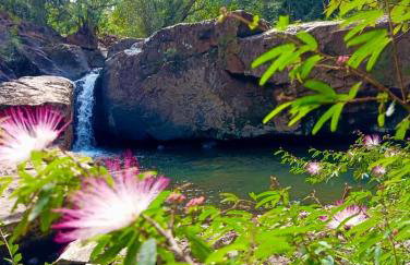 Canto da cascata - Foto 29