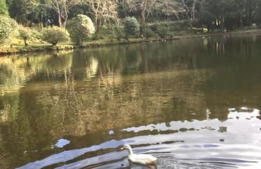 Casa Às Nove - Photo 53