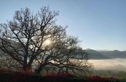 I segreti del lago - Foto 40