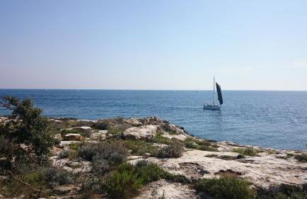 Apartment Shankini - Foto 19