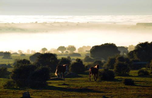 Casas Las Hazas - Foto 8
