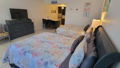 Little Harbor Resort #510 Tampa Bay FL Beach, Hot Tub, Pools - Foto 5