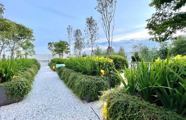 Una by Plush - Foto 64