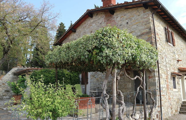 Agriturismo Poggio di Montepescoli - L'aia - Foto 43