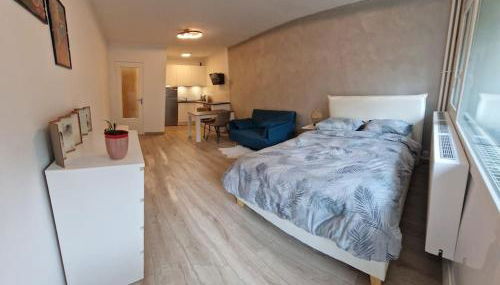 Charming new appartment near Geneva - Photo 4