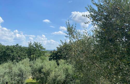 Accanto a Firenze - Foto 39