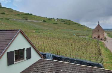 Les Hirondelles du MAMBOURG - Foto 10