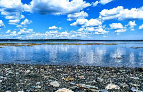 Oceanfront Jellison Beach House - Photo 10