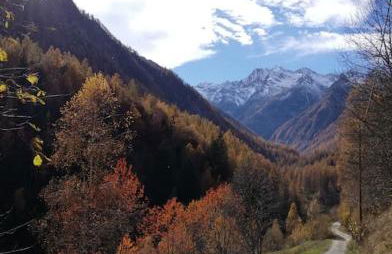 Appartamento Belvedere - Foto 36