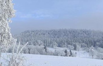 APARTAMENTY z GÓRSKIM KLIMATEM - Foto 72