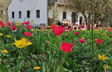 Altes Otto Haus - Foto 78
