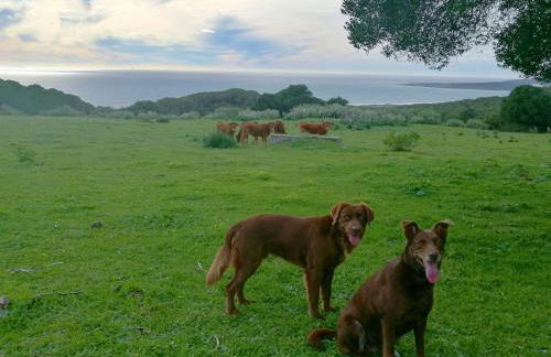 Charming House in El Chaparral - Foto 12