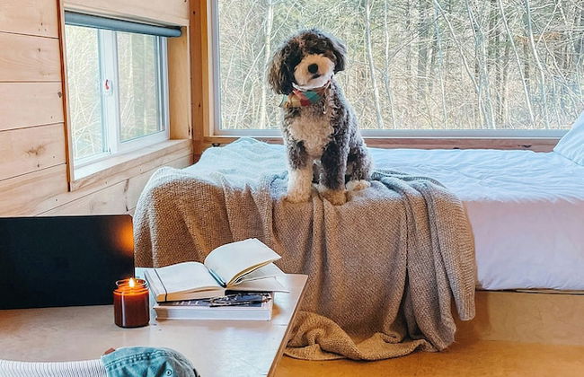 Postcard Cabins Talladega Valley, Outdoor Collection by Marriott Bonvoy - Foto 2