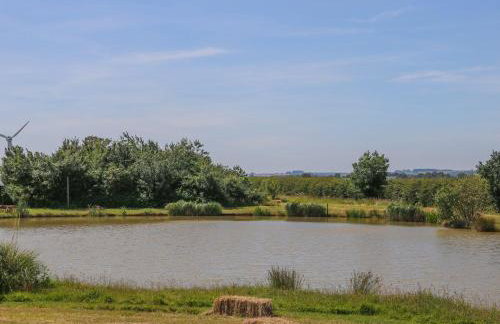 Kingfisher - Foto 21