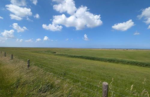 FeWo Krabbenbude - modern und fußläufig zum Strand - Foto 27