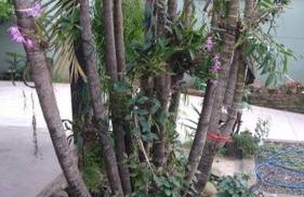 Recanto do Sossego- Espaço Jean - Foto 22