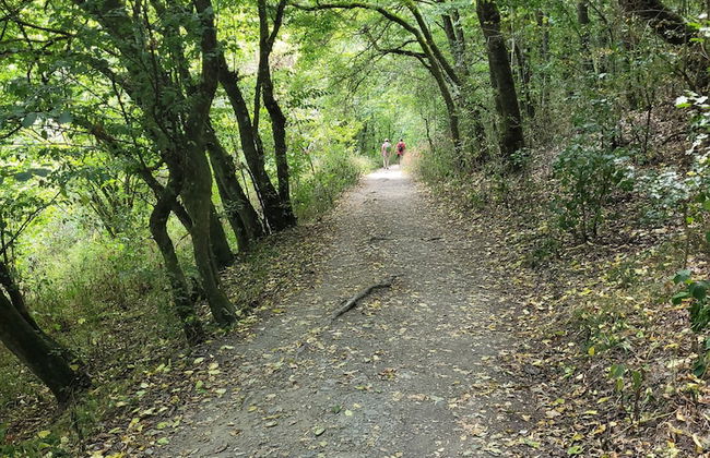 Familiehuis Dolve - Photo 57